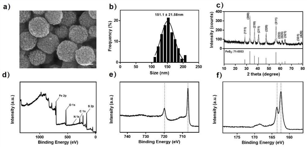 Pyrite nanozyme, antitumor drug and application