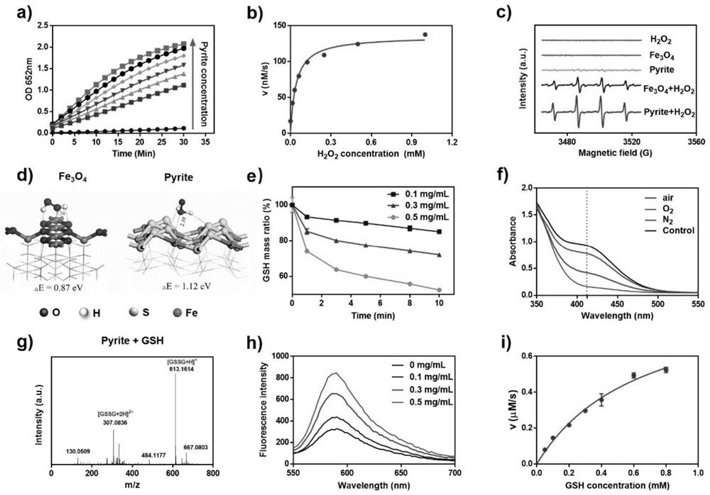 Pyrite nanozyme, antitumor drug and application