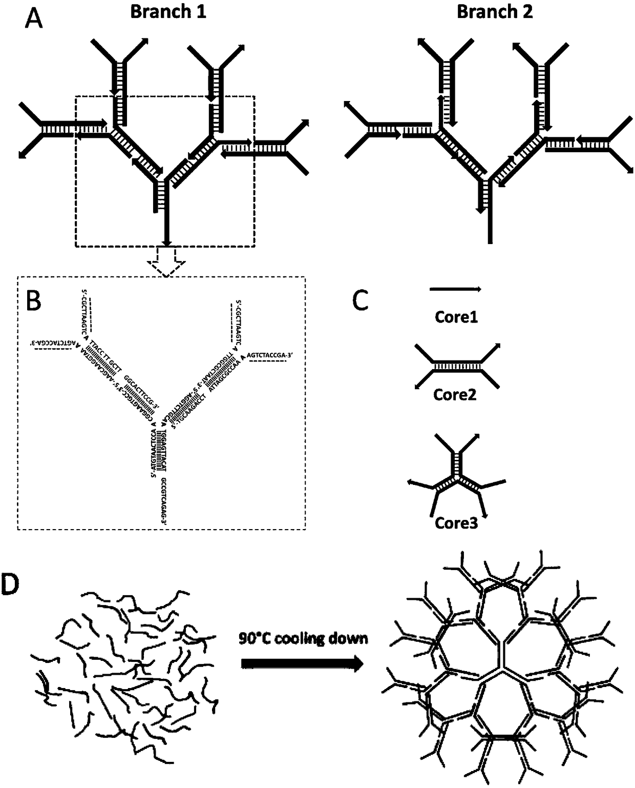 Preparation method and application of dendritic DNA assembly