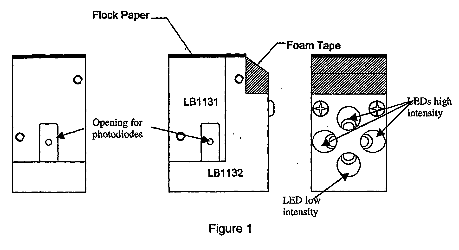 Biosensors, and method and kits for using same