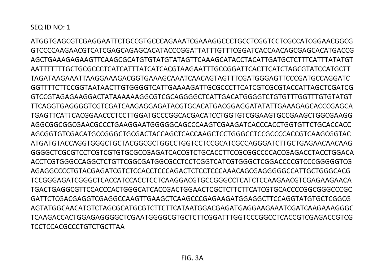 Method for enhanced production of morinda metabolites