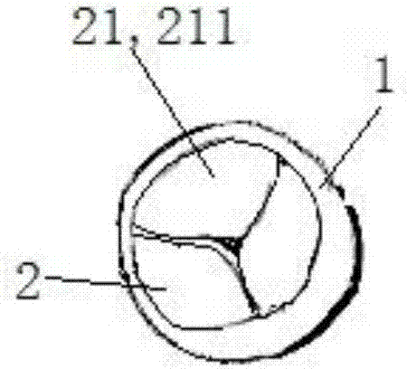 Hand-sewn valved outer pipe and mold and sewing method for the pipe