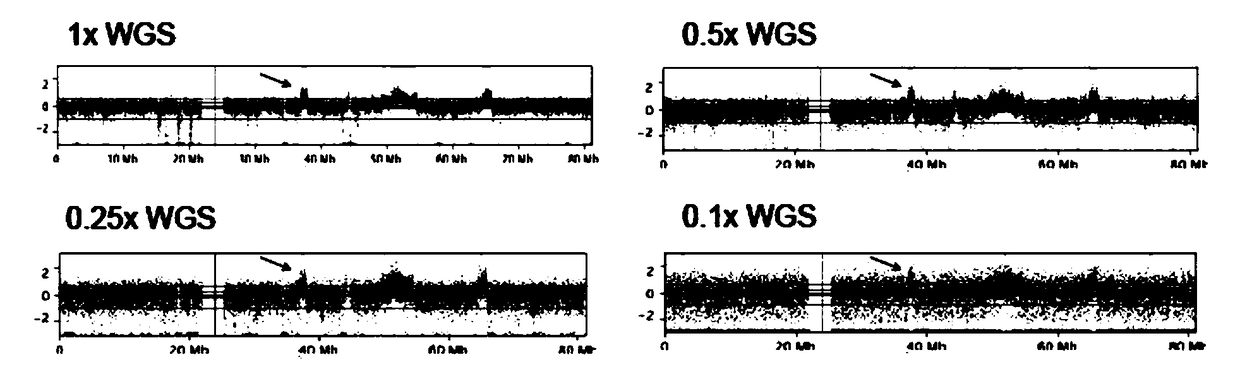 System for detecting cancer recurrence by using low-depth whole genome sequencing