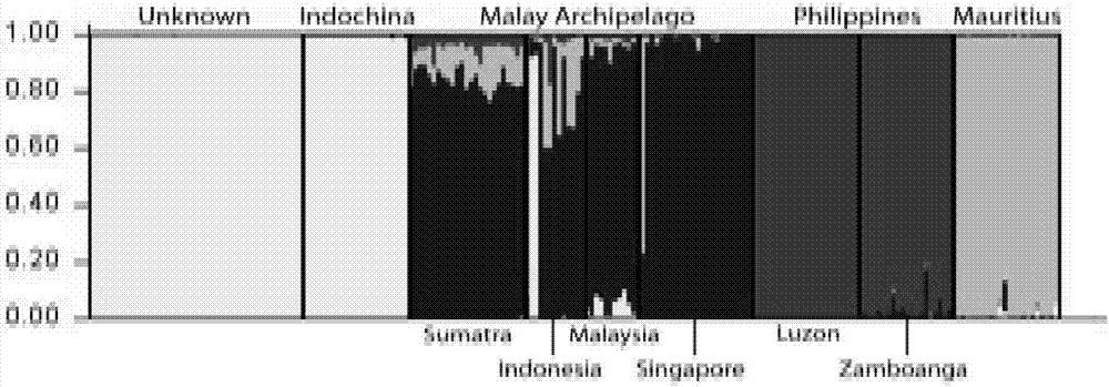 SNP markers for identifying cynomolgus monkey origin (subpopulation), and applications thereof