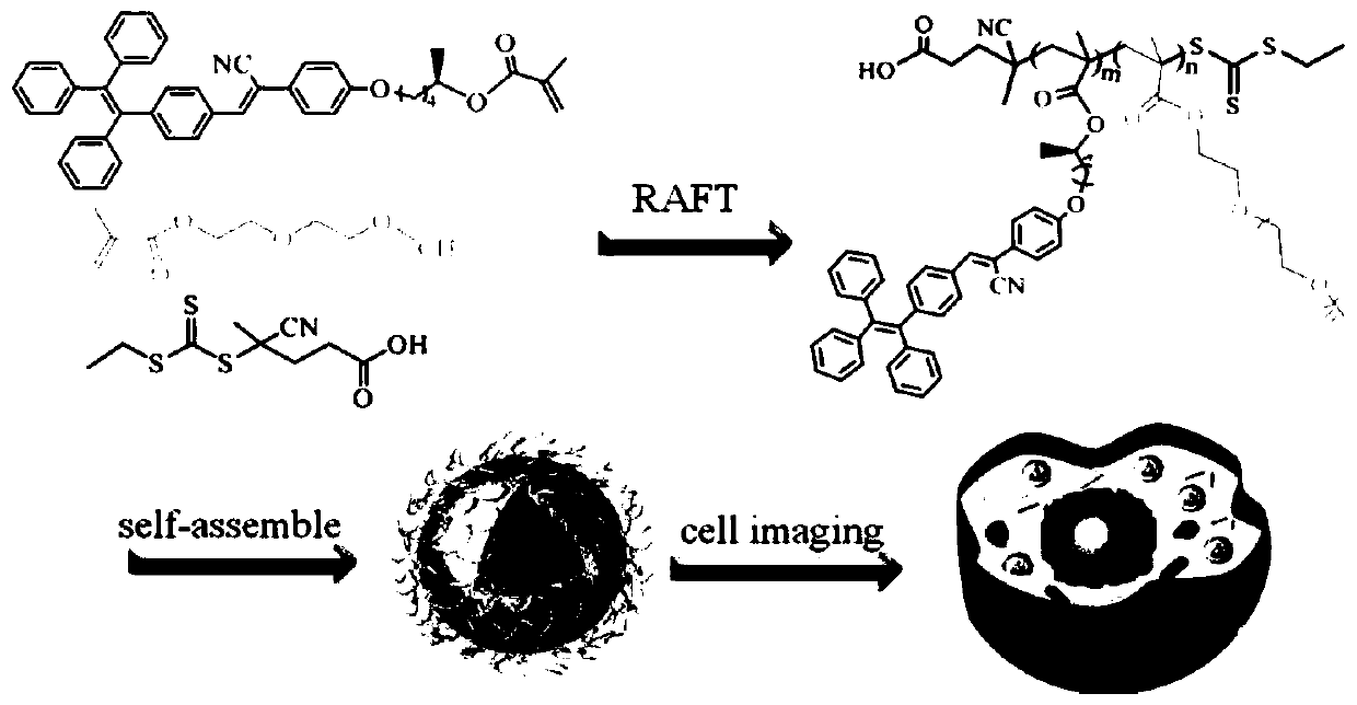 Preparation method of optically active AIE fluorescent material and water-based polymer thereof