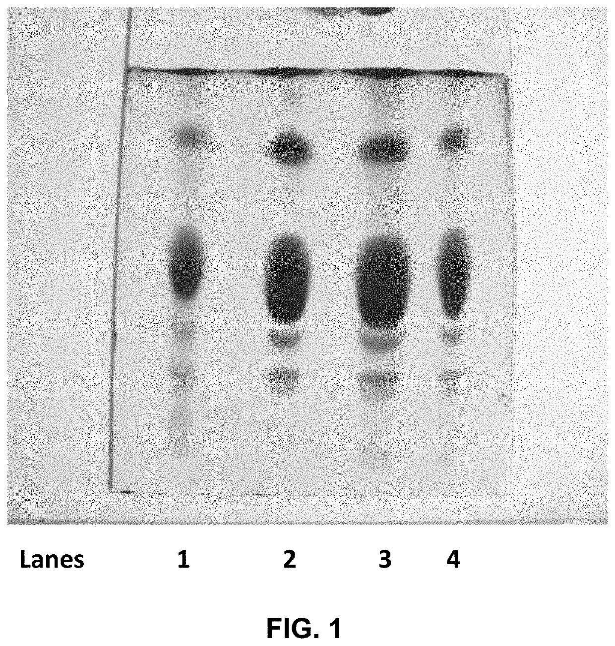 Fish egg extracts, omega-3 lipid-based compositions and uses thereof