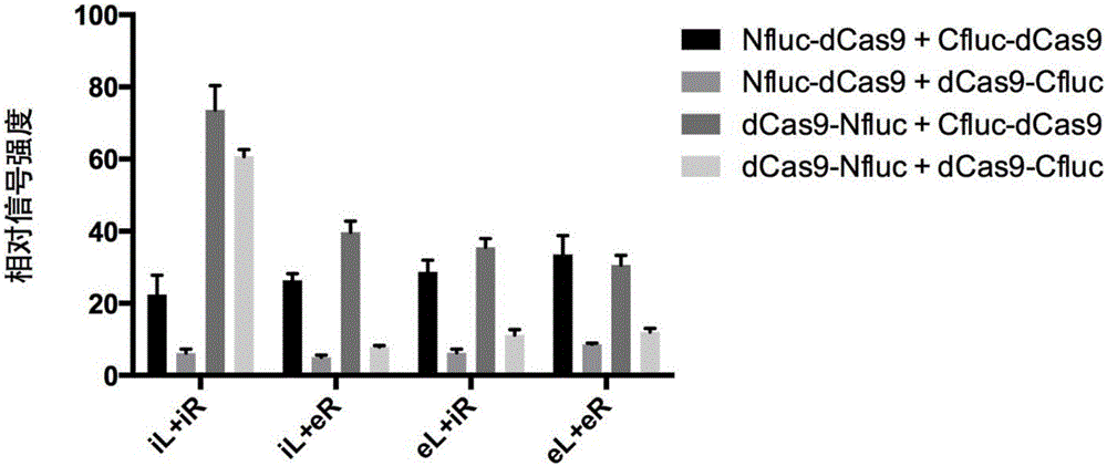 Detection method of nucleic acid