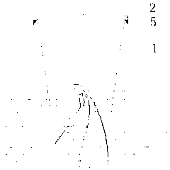 Use method of field direct seeding and seedling raising device