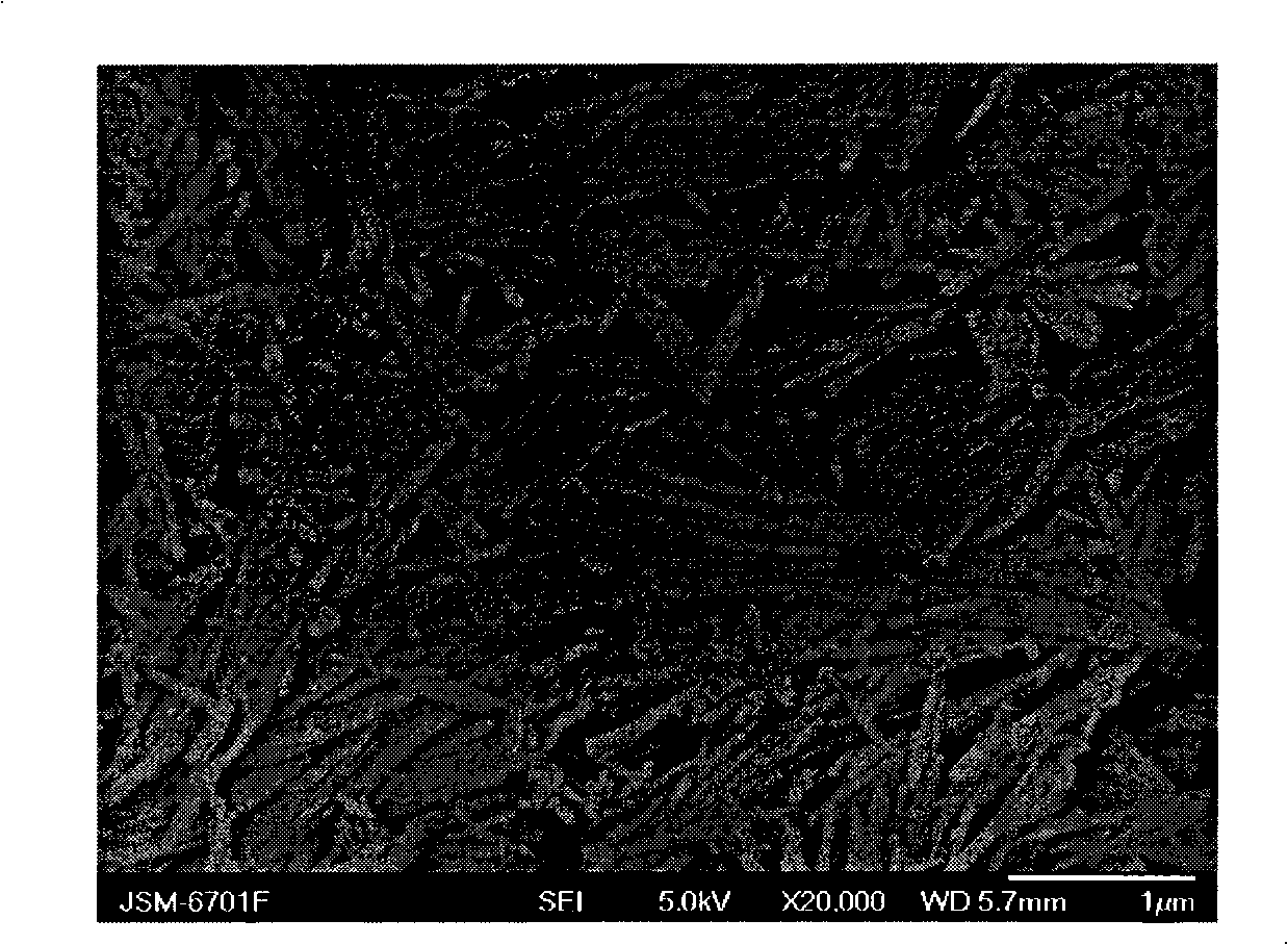 Al-pillared paligorskite modified solid acid catalyst and preparation and application thereof