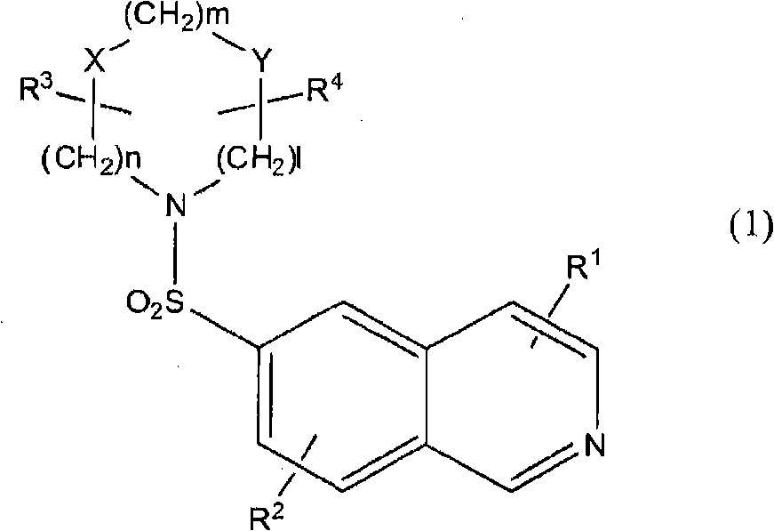 Substituted isoquinoline derivatives