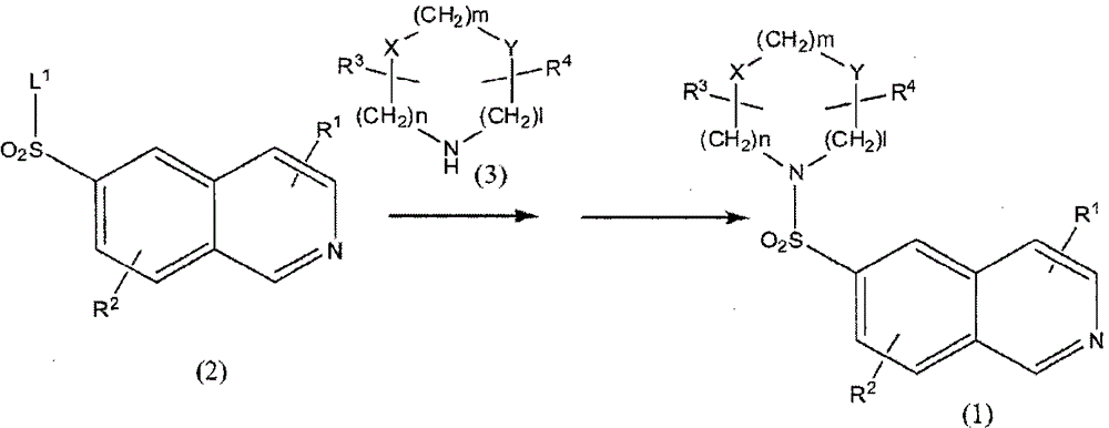 Substituted isoquinoline derivatives