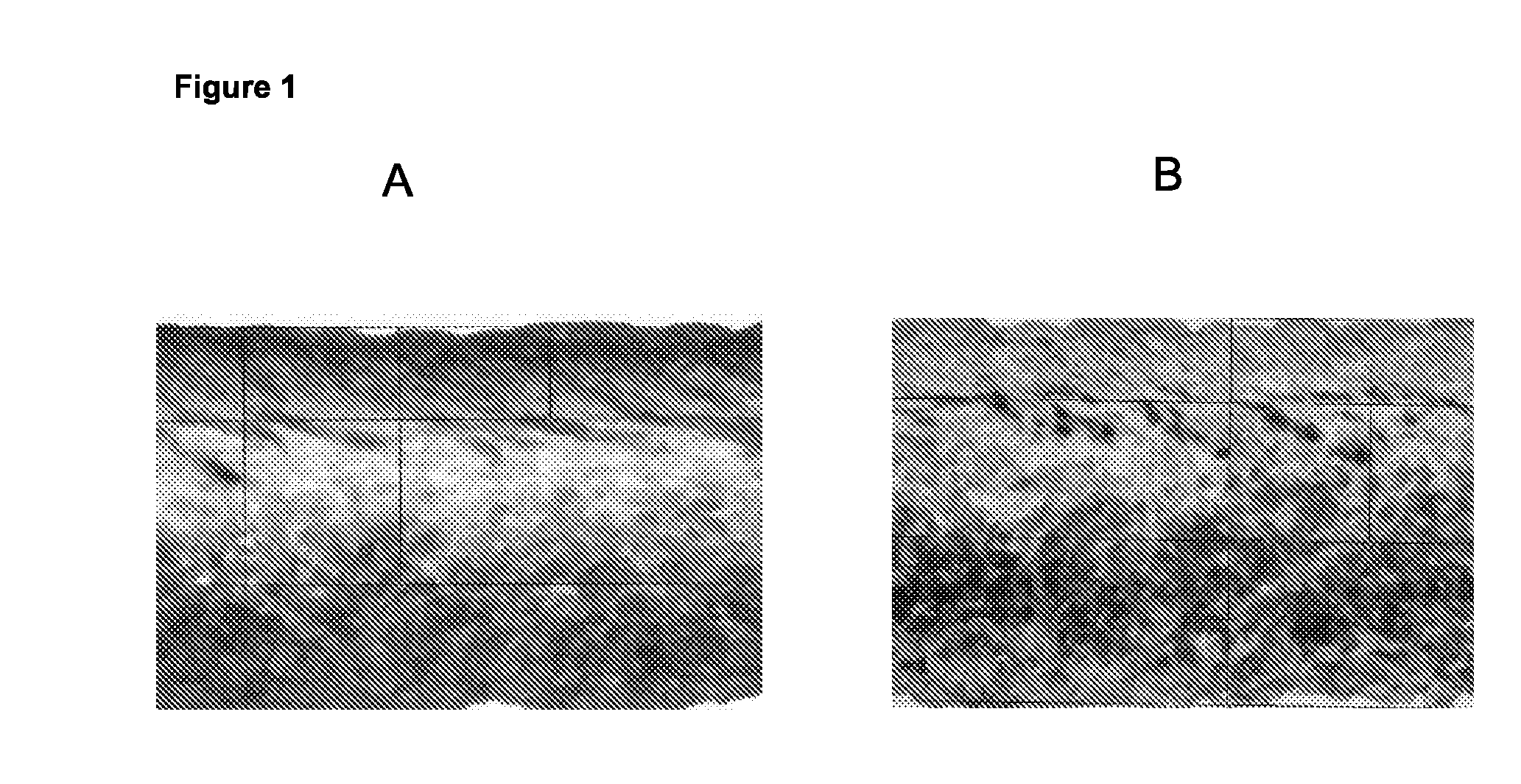 Method for treating a substrate made of animal fibers with solid particles and a chemical formulation