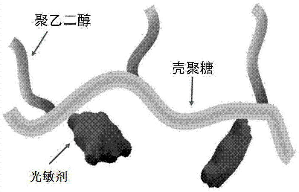 A tumor phototherapy agent based on cell membrane coating and its preparation method and application