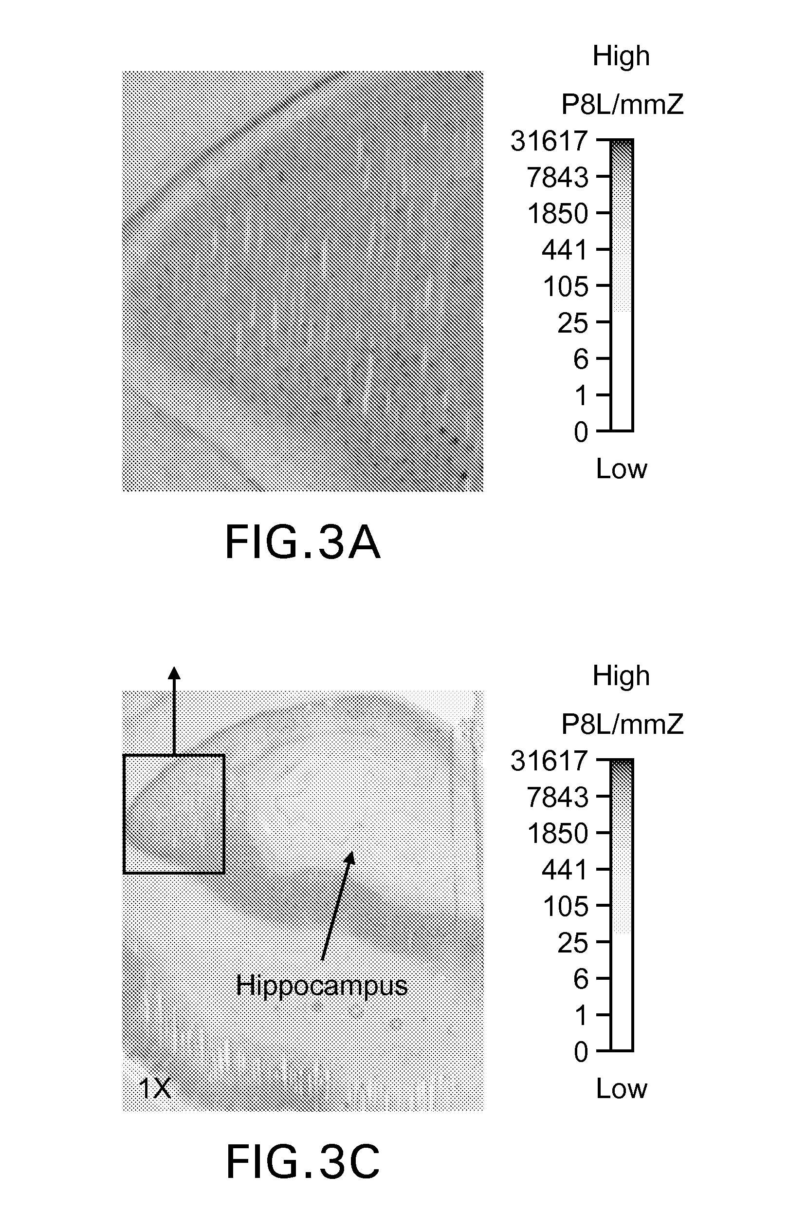 Isotopically Labeled Biaryl Urea Compounds