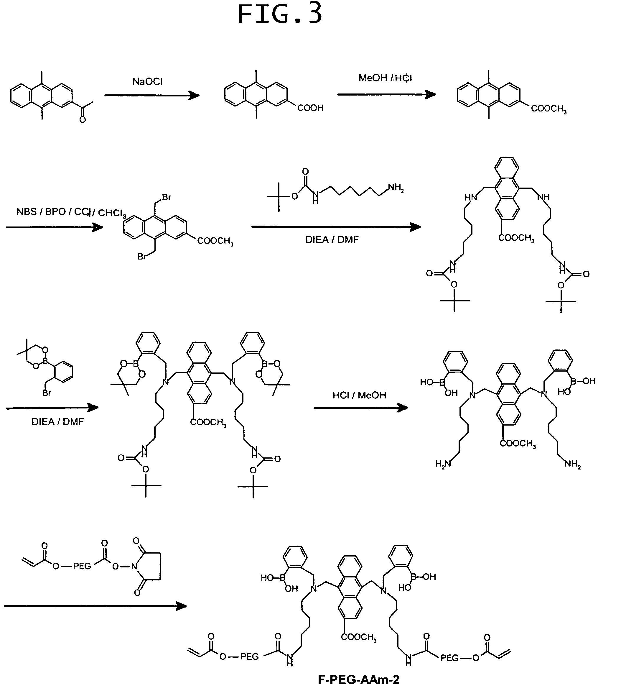 Saccharide-measuring fluorescent monomer, saccharide-measuring fluorescent sensor substance, and implantable, saccharide-measuring sensor