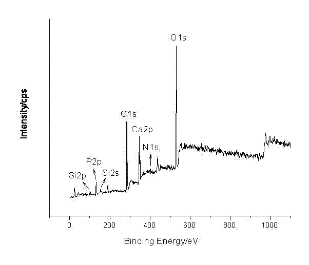 Hydroxyapatite (HA)/ poly-amino acid compound particle and preparation method thereof