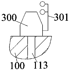 Biofuel power generation device