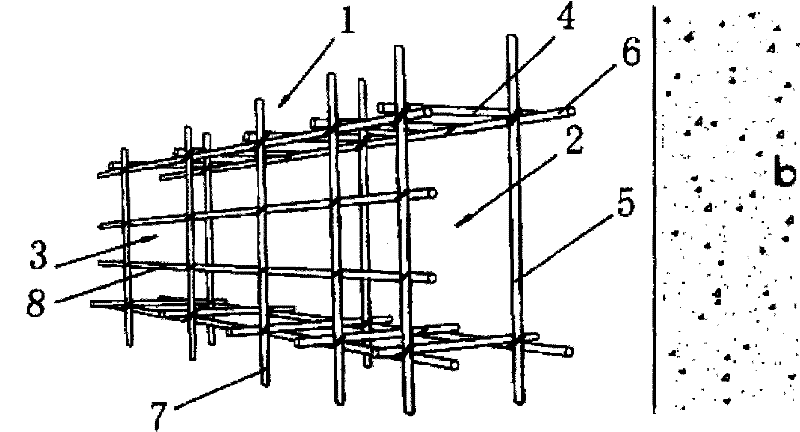 Scaffold