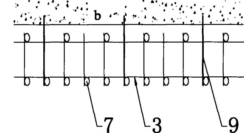 Scaffold