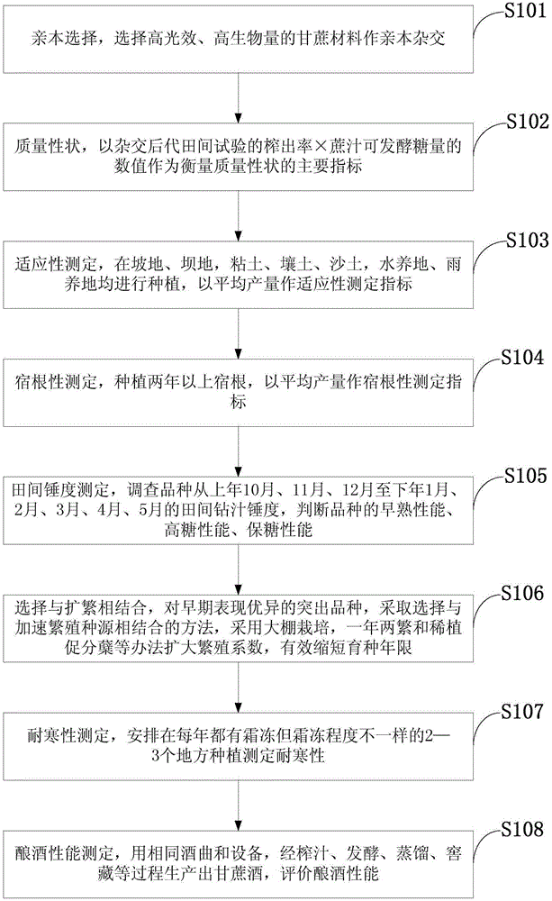 Breeding method for wine-making sugarcane varieties