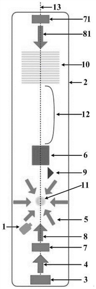 Cold atom gravimeter and detection method