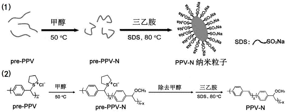 Poly phenylenevinylene conjugated polymer fluorescent nanoparticles with controllable emission wavelength and preparation method