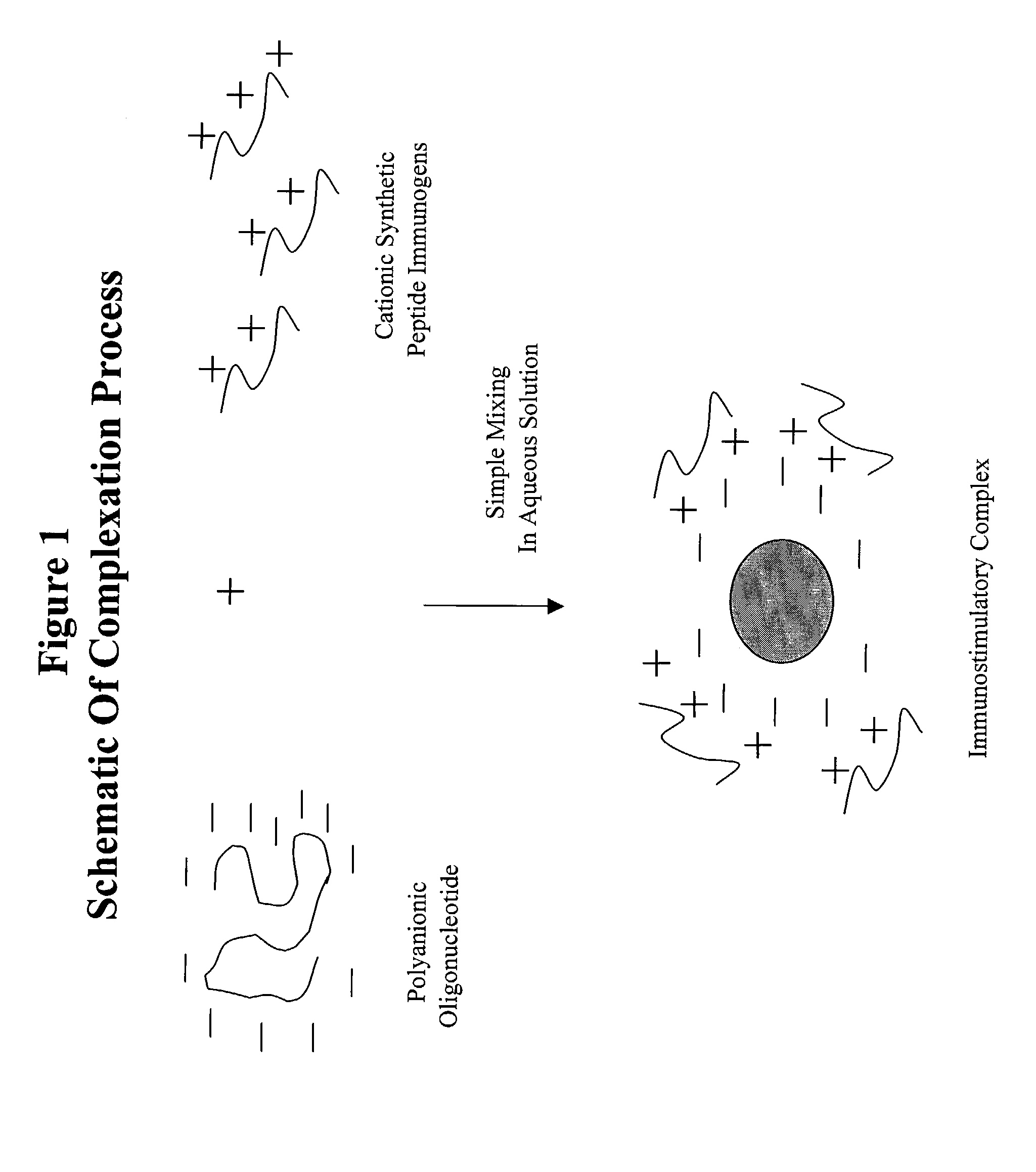 Stabilized synthetic immunogen delivery system