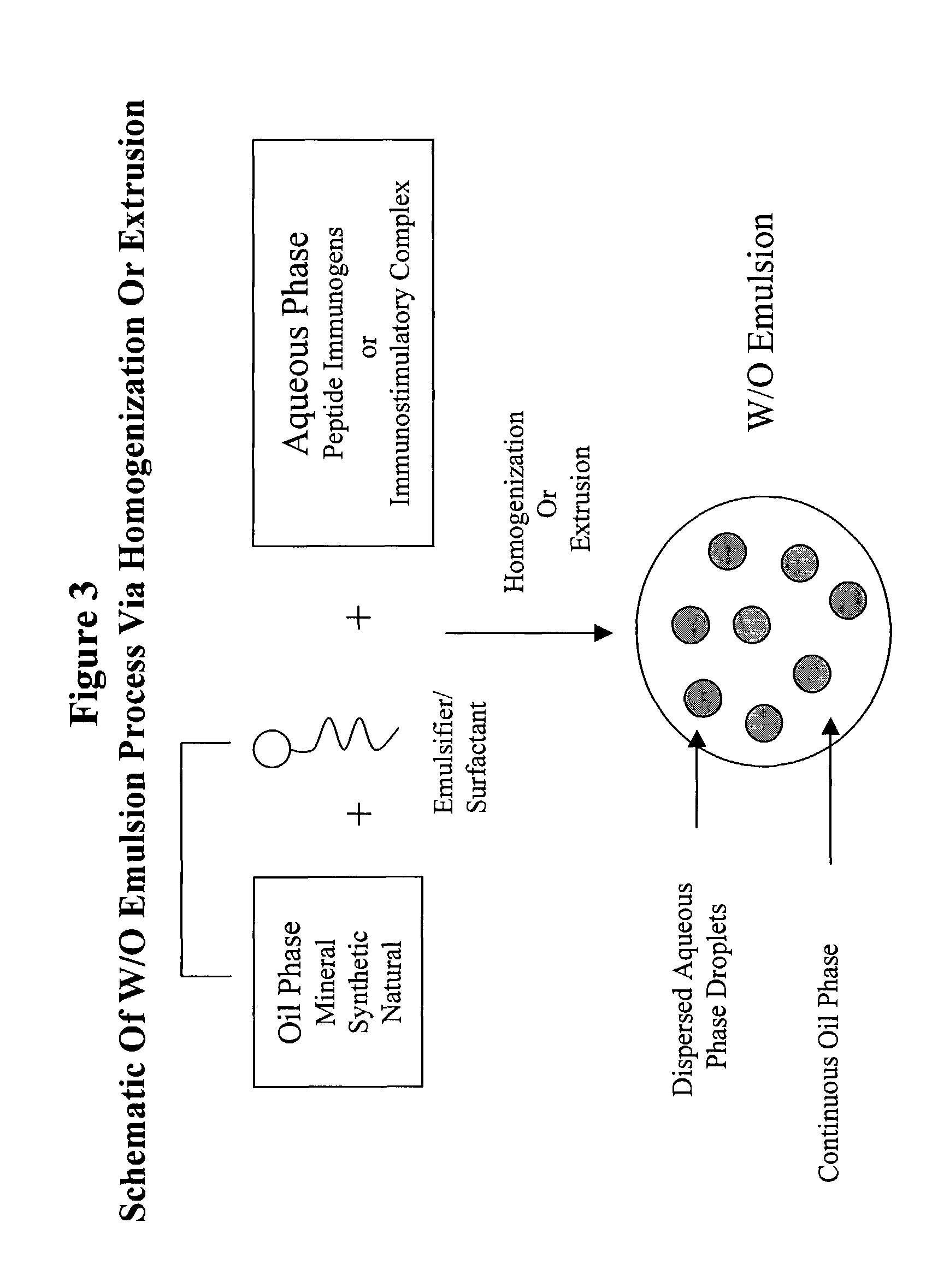 Stabilized synthetic immunogen delivery system