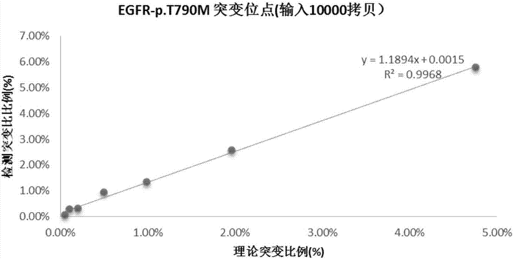 EGFR gene 20 exon T790M and C797S mutation detection primers, probes and method