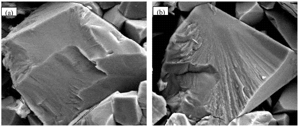 Detection and characterization method of intergranular fracture and trans-granular fracture of WC grains in WC-Co alloy