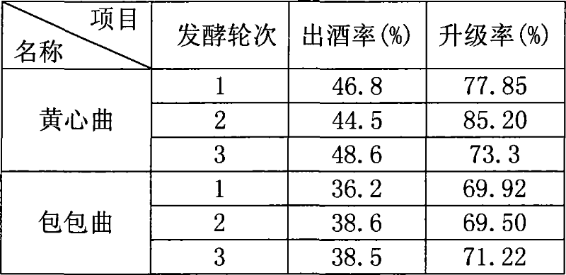 Method for producing yellow core Daqu to improve liquor output rate of strong aromatic Chinese spirits