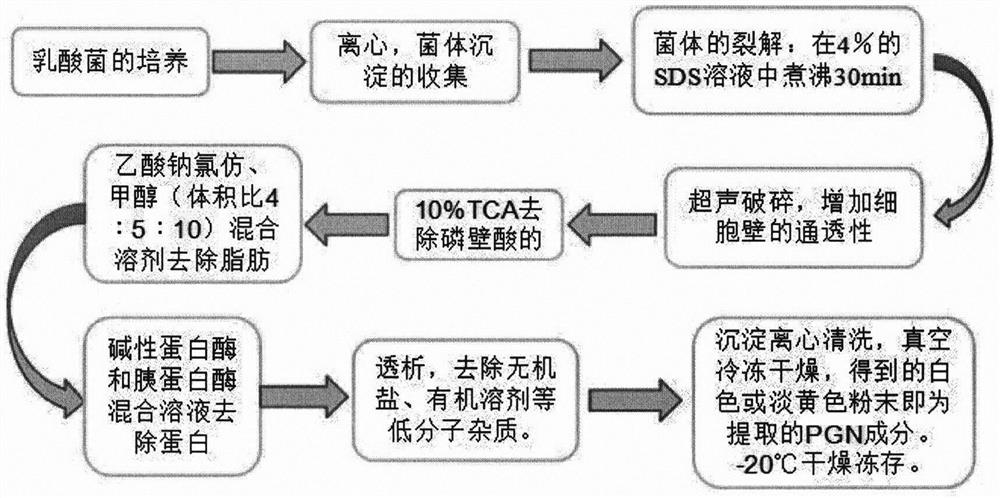 Method for extracting peptidoglycan from lactobacillus