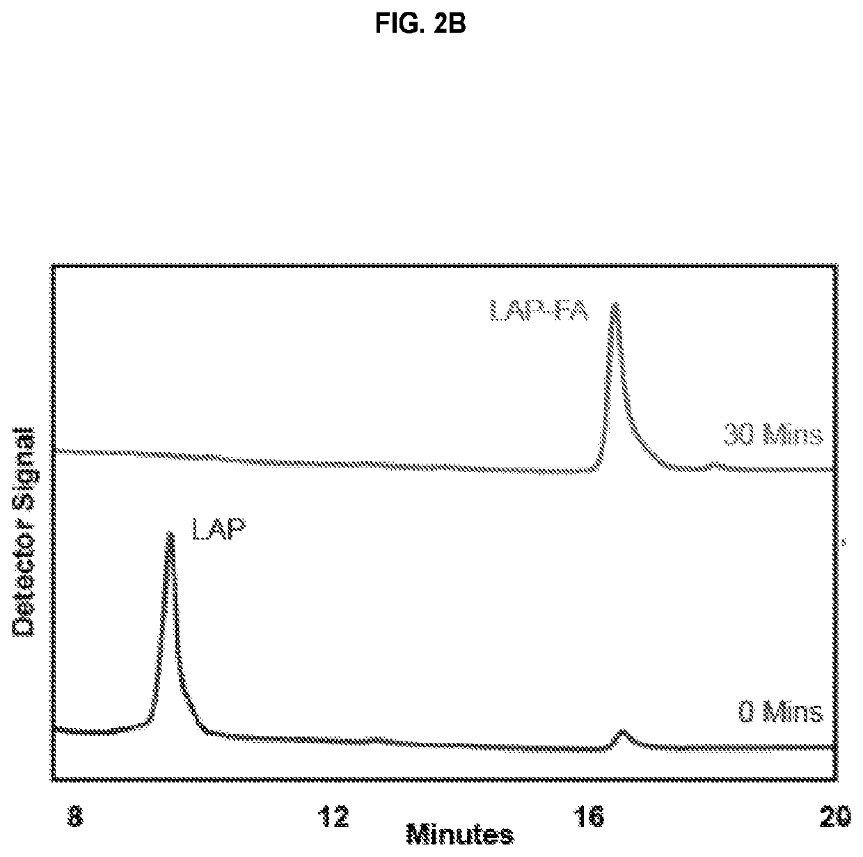 Site-specific radiofluorination of peptides with 8-[18f]-fluorooctanoic acid catalyzed by lipoic acid ligase