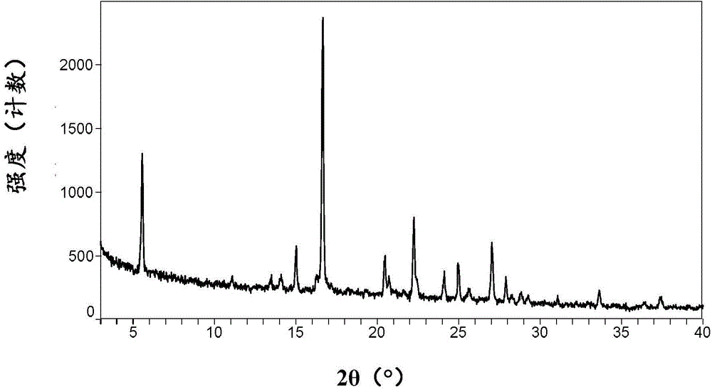 Oxdiazole compound solvate and preparation method thereof