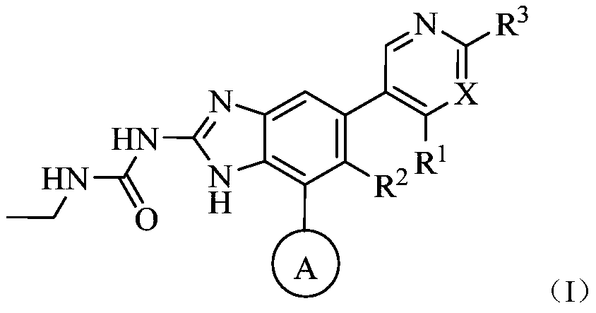 Monocyclic gyrase and topoisomerase IV inhibitors
