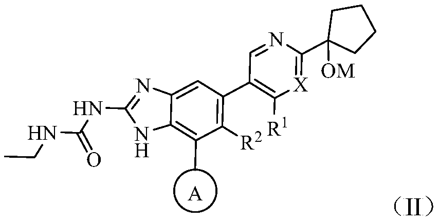 Monocyclic gyrase and topoisomerase IV inhibitors