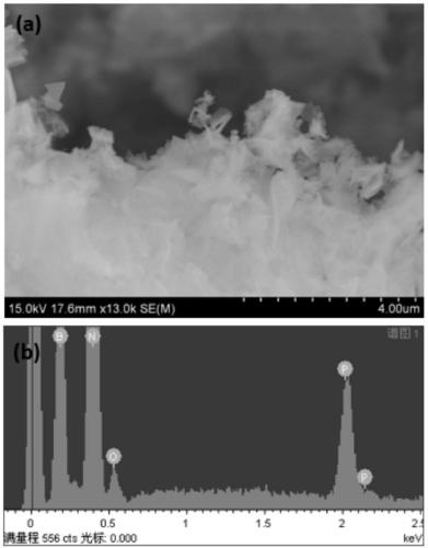 Hexagonal boron nitride with isoelectronic doping of phosphorus, and preparation method thereof