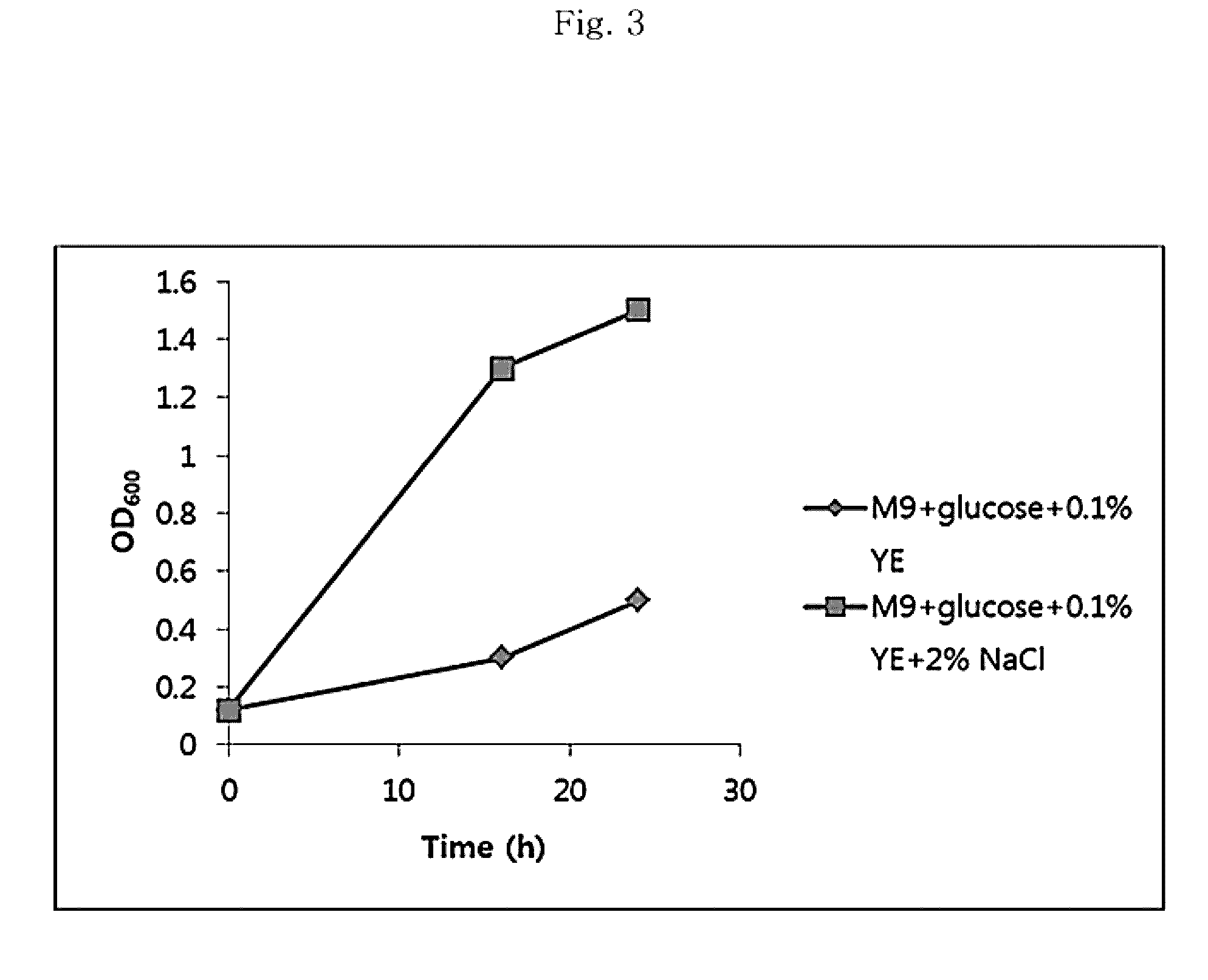 <i>Paenibacillus </i>sp. CAA11 capable of saccharification and fermentation of cellulose and transformed strain thereof