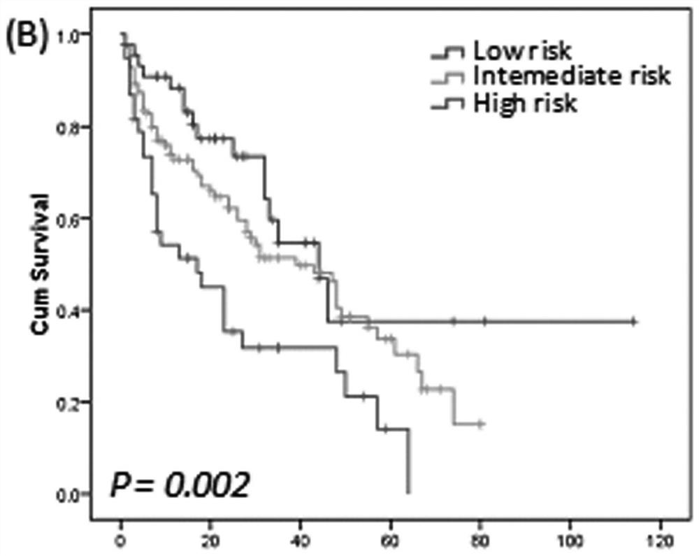 Establishment method and application of primary central nervous system lymphoma prognosis model