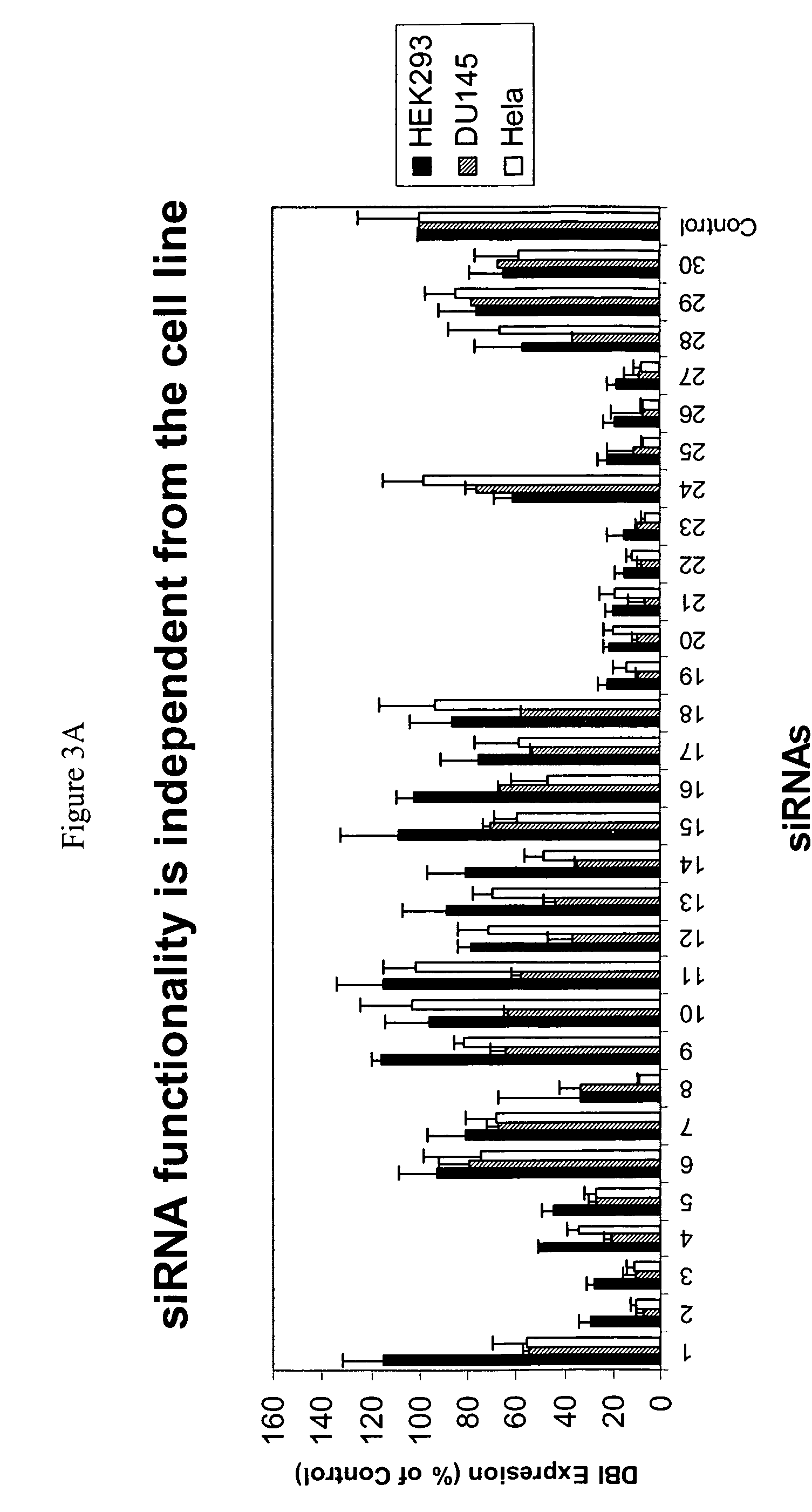 siRNA targeting nucleoporin 62kDa (Nup62)