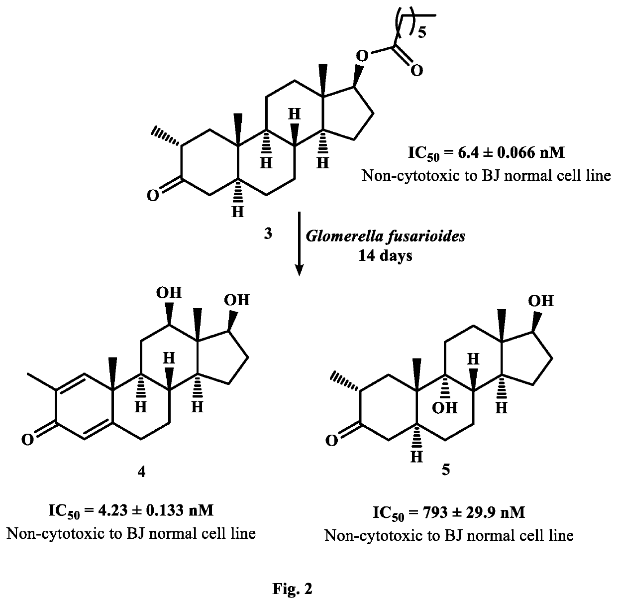 Synthesis of New Potent Aromatase Inhibitors Through Biocatalysis of Anti-Cancer Drugs, Atamestane, Drostanolone Enanthate, and Exemestane