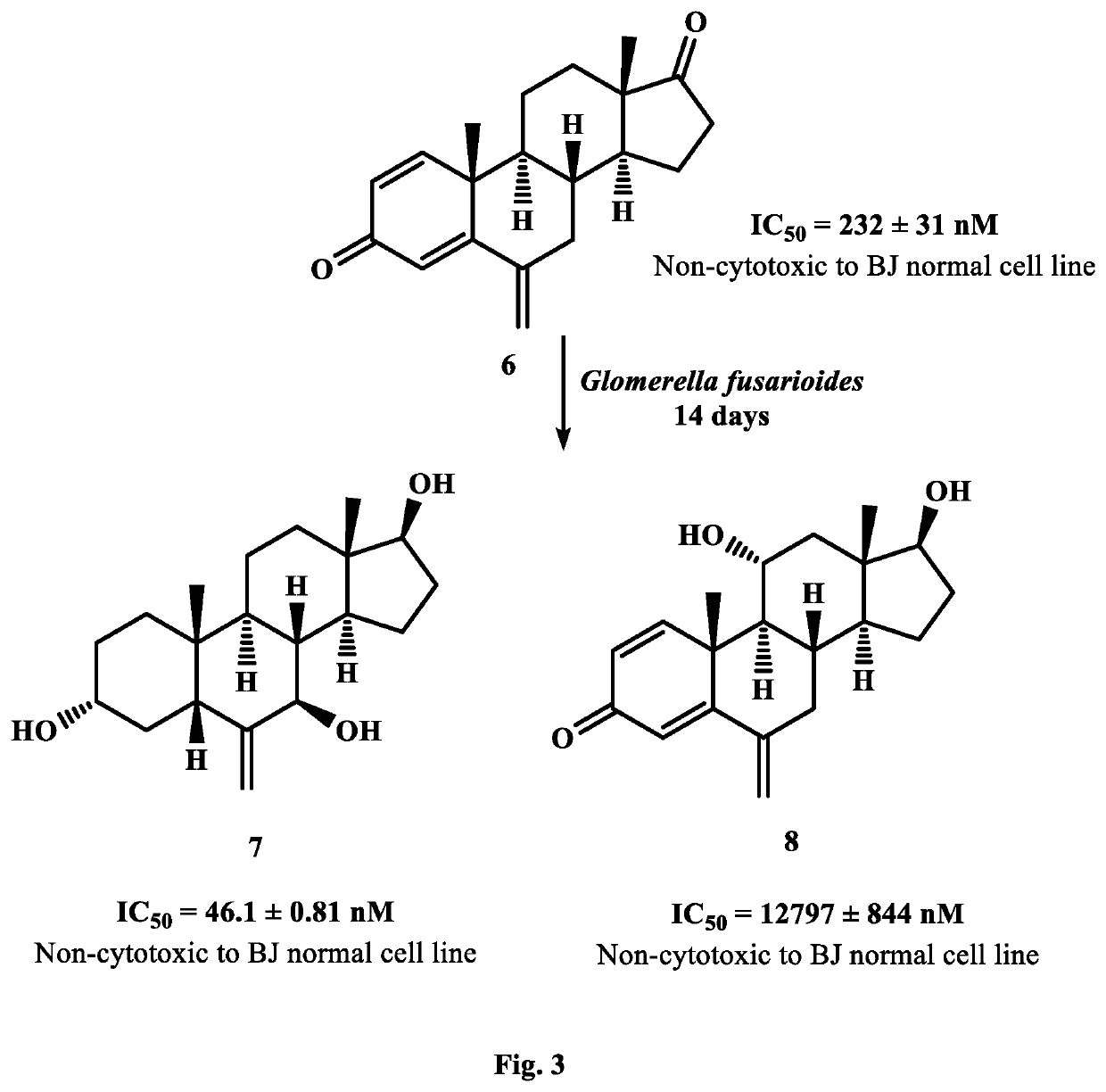 Synthesis of New Potent Aromatase Inhibitors Through Biocatalysis of Anti-Cancer Drugs, Atamestane, Drostanolone Enanthate, and Exemestane