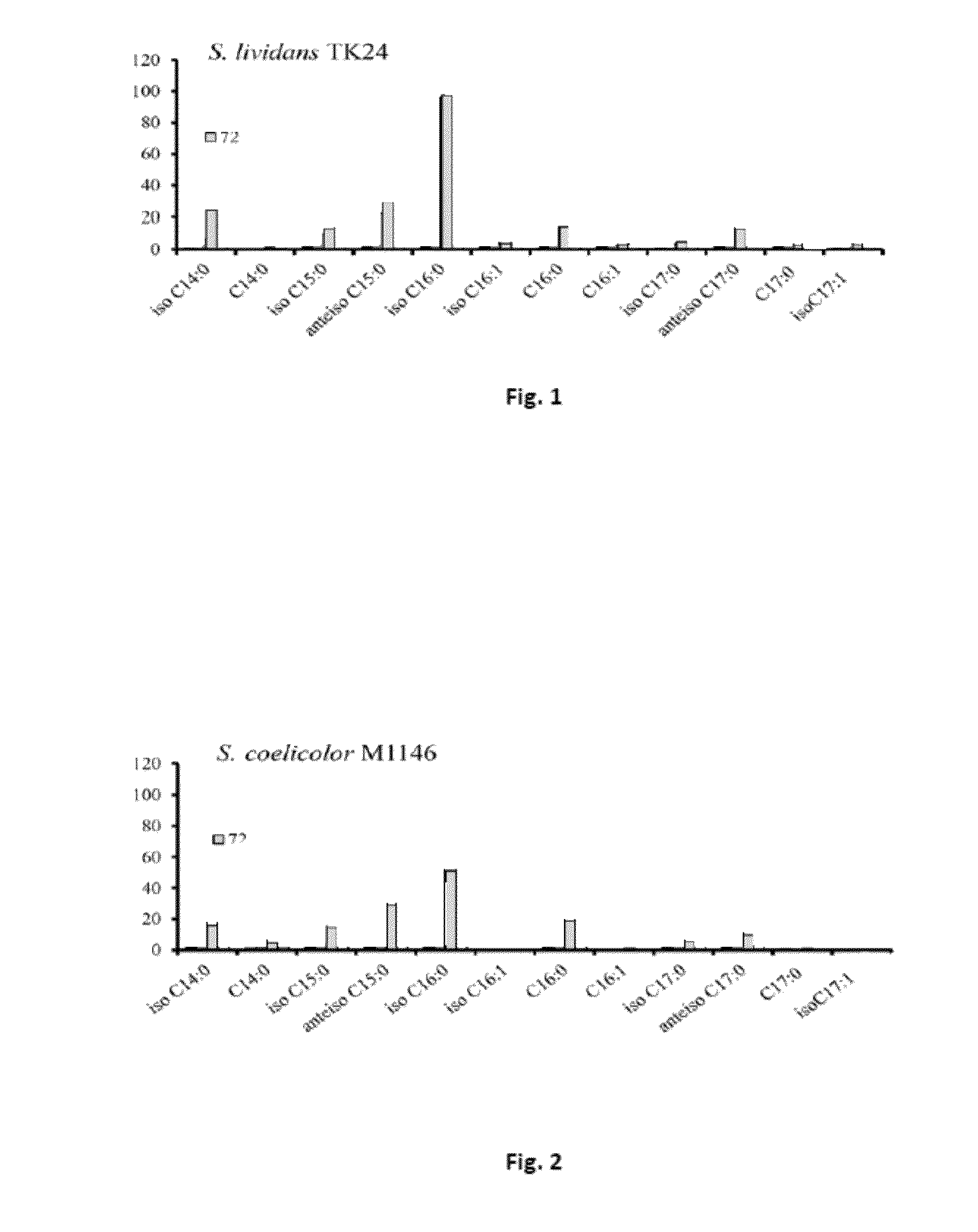 Triacylglycerol-based lipid composition