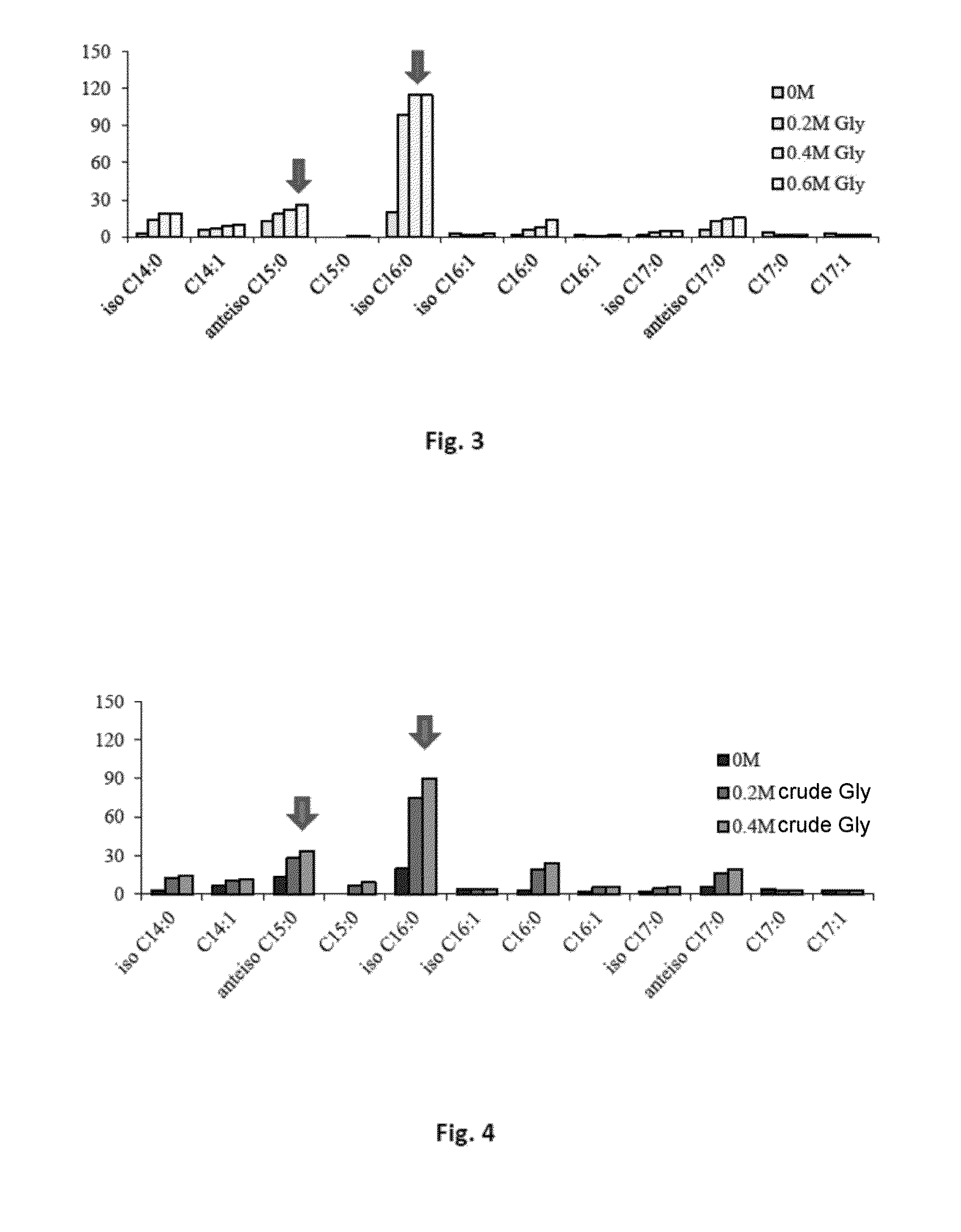 Triacylglycerol-based lipid composition