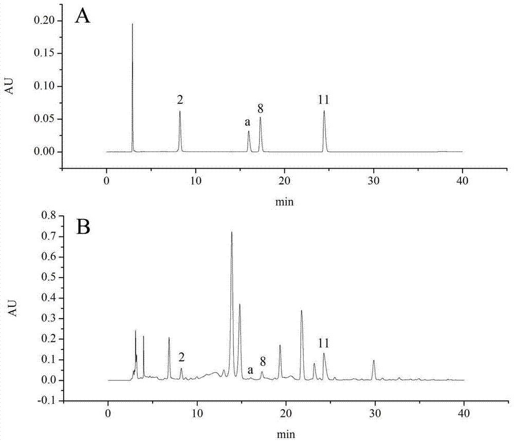 HPLC fingerprint detection method for anisodus tanguticus roots