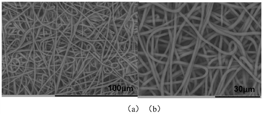 A kind of oil-water separation membrane based on oxime urethane bond, preparation method and application thereof