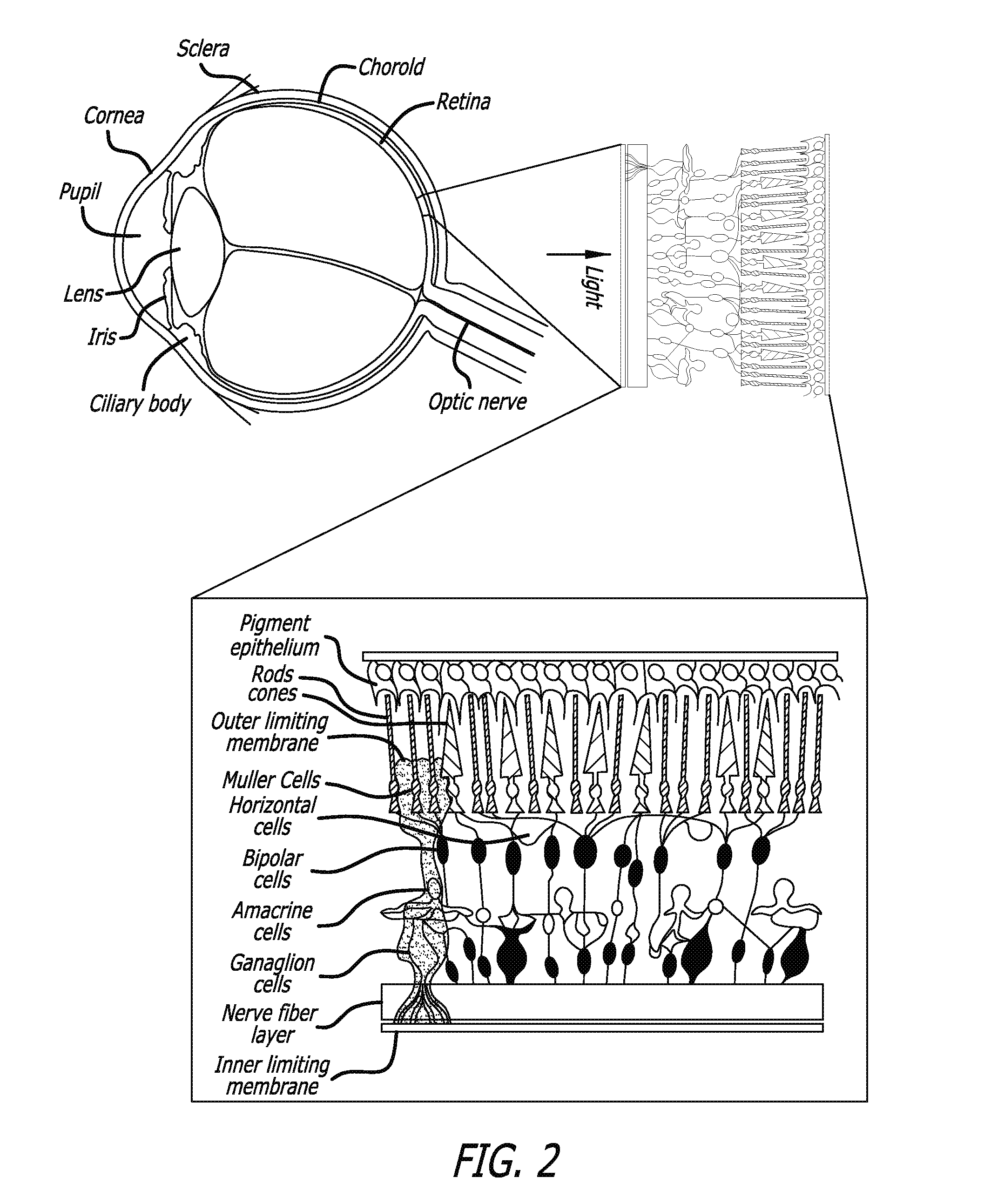 Optic function monitoring process and apparatus