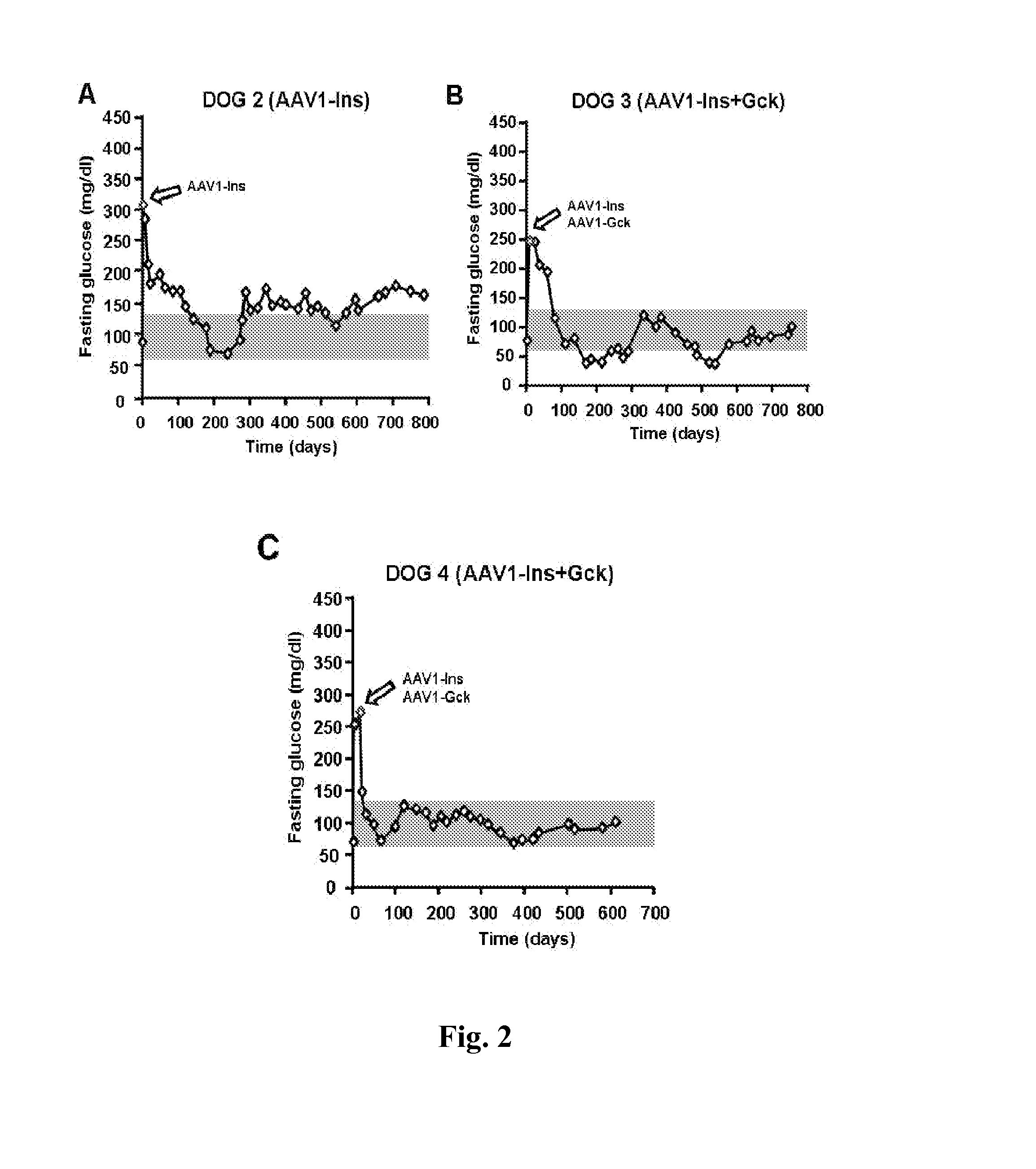 Gene therapy composition for use in diabetes treatment