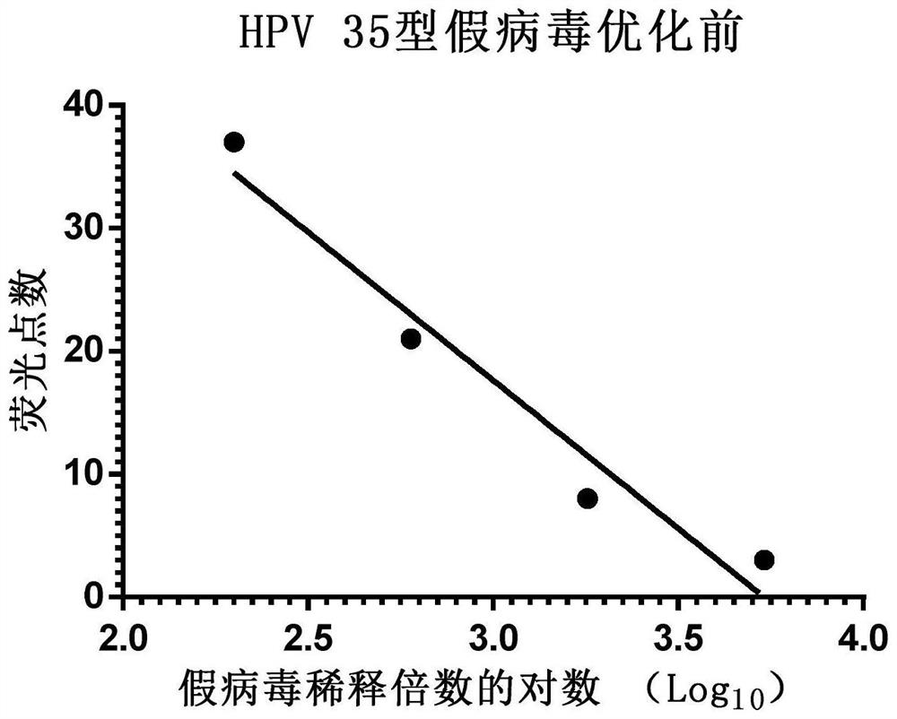 A kind of human papillomavirus type 35/hpv35 type l1/l2 and its preparation and application