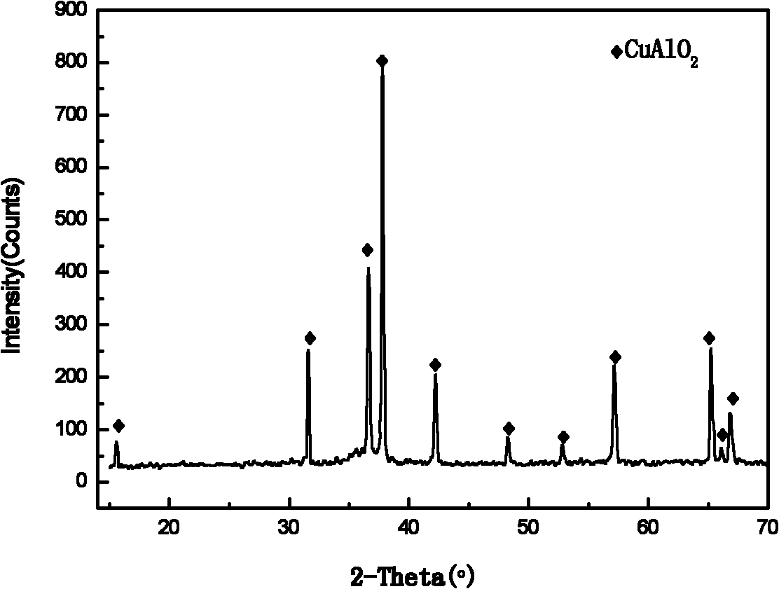 Preparation method of CuAlO2 monocrystal